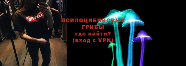 СК Гусь-Хрустальный