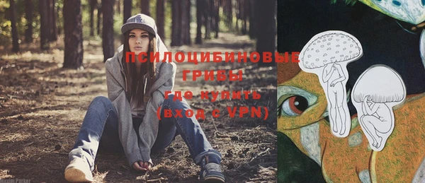 мескалин Гусев