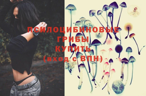 гидропоника Гусиноозёрск