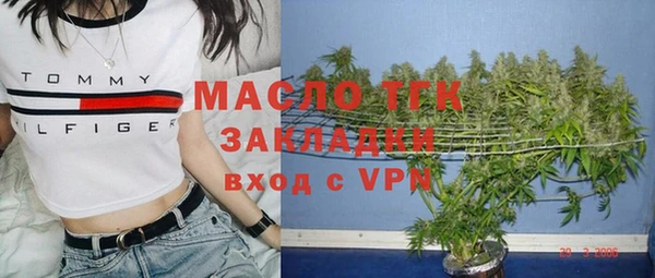 гидропоника Гусиноозёрск