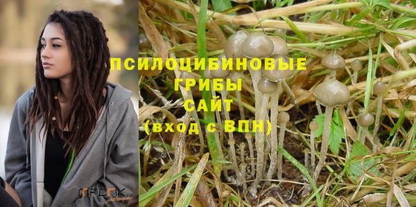 первитин Дмитровск