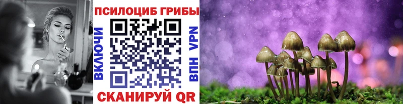 Псилоцибиновые грибы MAGIC MUSHROOMS  кракен ссылки  Данилов 